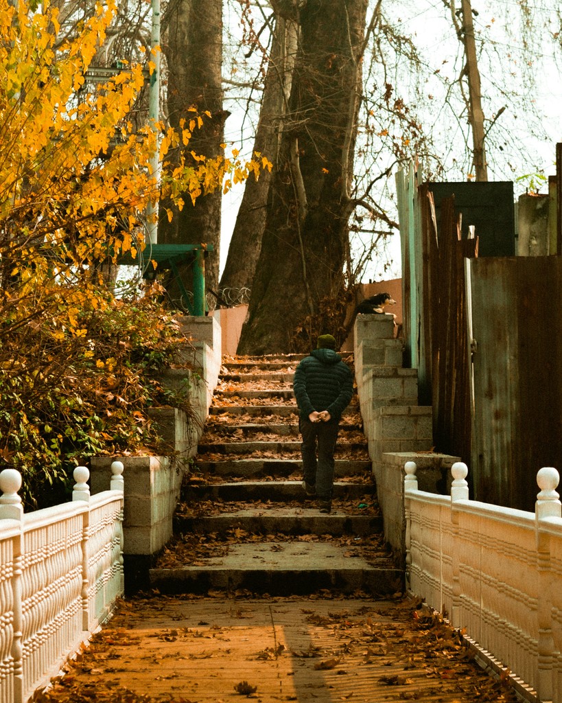 Heritage Walk through Srinagar